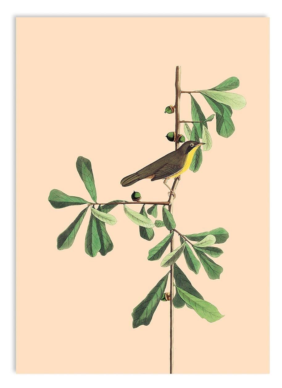 Ministampa A5 Estate