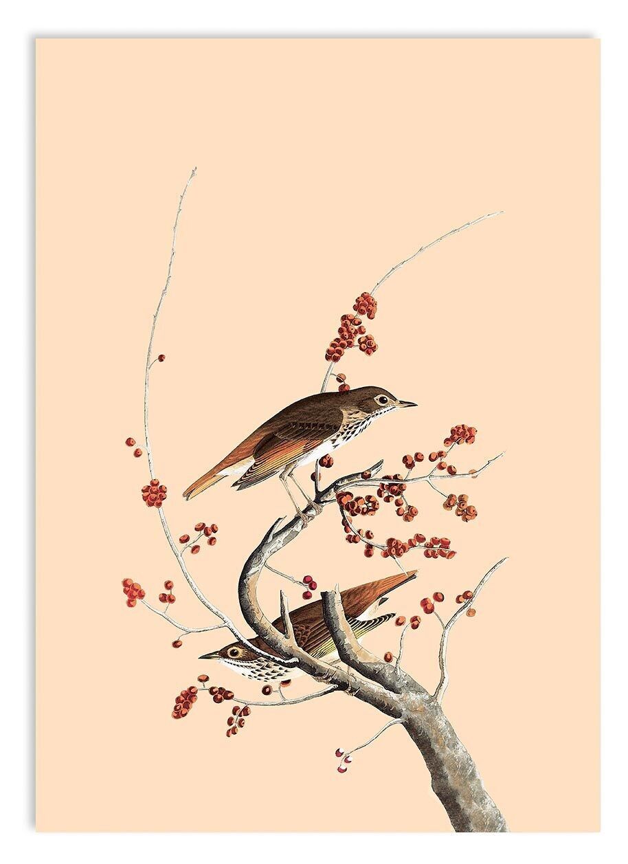 Mini stampa A5 invernale