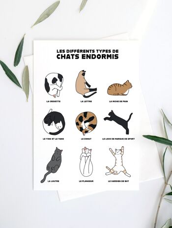 Affiche Chats endormis A5, A4, A3 1