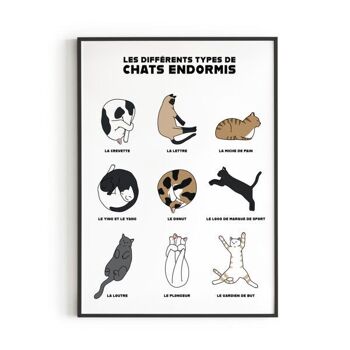 Affiche Chats endormis A5, A4, A3 2