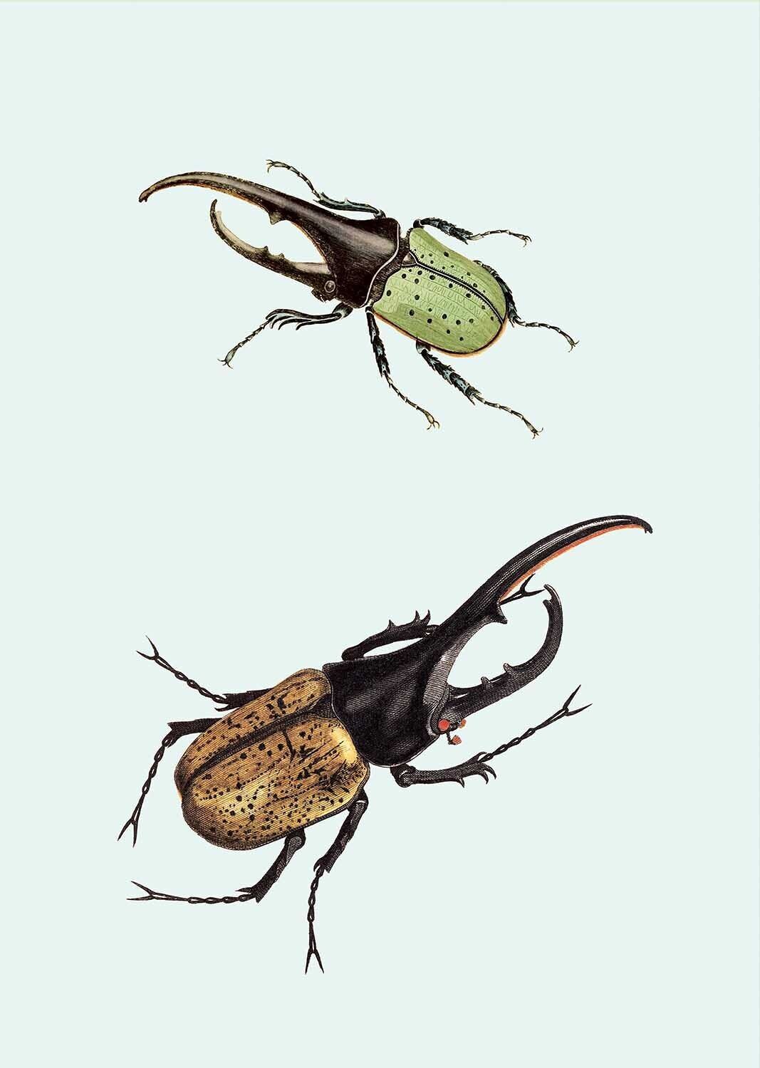 Despedida de soltero con impresión A3