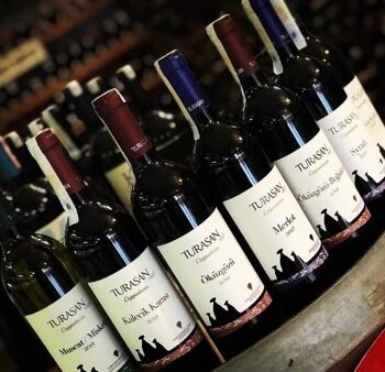 Vin rouge Turasan Öküzgözü 2021 3