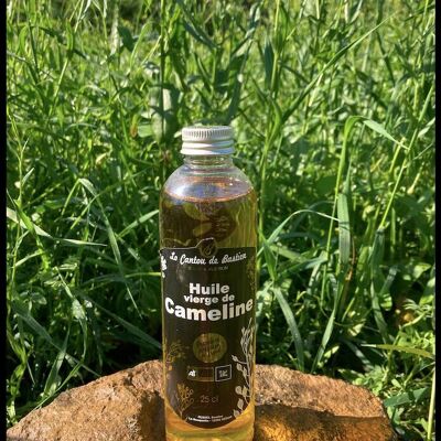 Camelina Oil - 25 cl bottle