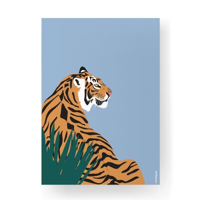 Tiger - 21 x 29.7cm