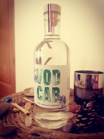 Vodcab - Vodka Bio houblonnée 2