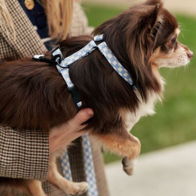 Arnés PET Reciclado Diseño Vichy Azul, Juno