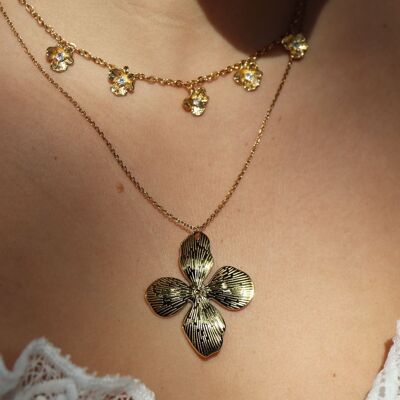 COLLANA • AVIGNONE •