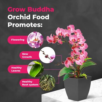 Engrais alimentaire pour orchidées – Engrais liquide concentré pour plantes d'orchidées 100 ml – Croissance rapide avec racines fortes et floraison longue – Convient à toutes les plantes d'orchidées 4