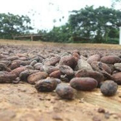 Fèves de cacao CRUES - 150 g