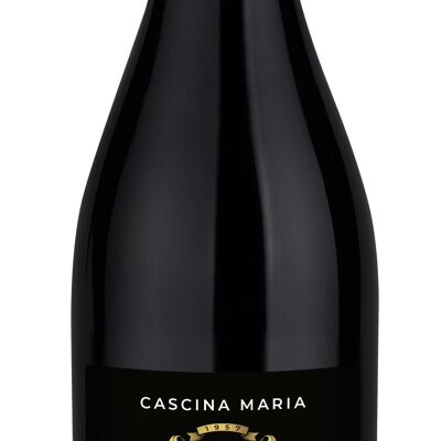 Barbaresco DOCG 2020, CASCINA MARIA, vin rouge de garde structuré et épicé
