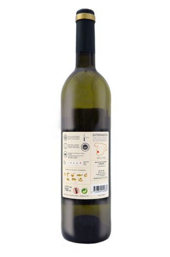 BACCYS Vin Blanc Espagnol - AVA - 0.75L 2
