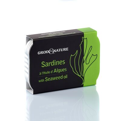 Sardine in Algenöl