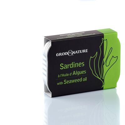 Sardine in Algenöl