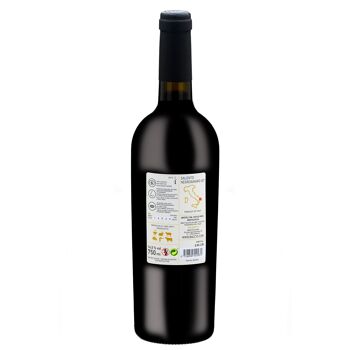 BACCYS Vin rouge italien - LUIGI - 0.75L 2
