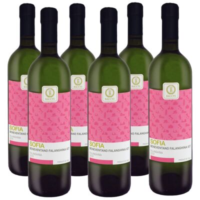 BACCYS Vino bianco italiano - SOFIA - 6 x 0,75L
