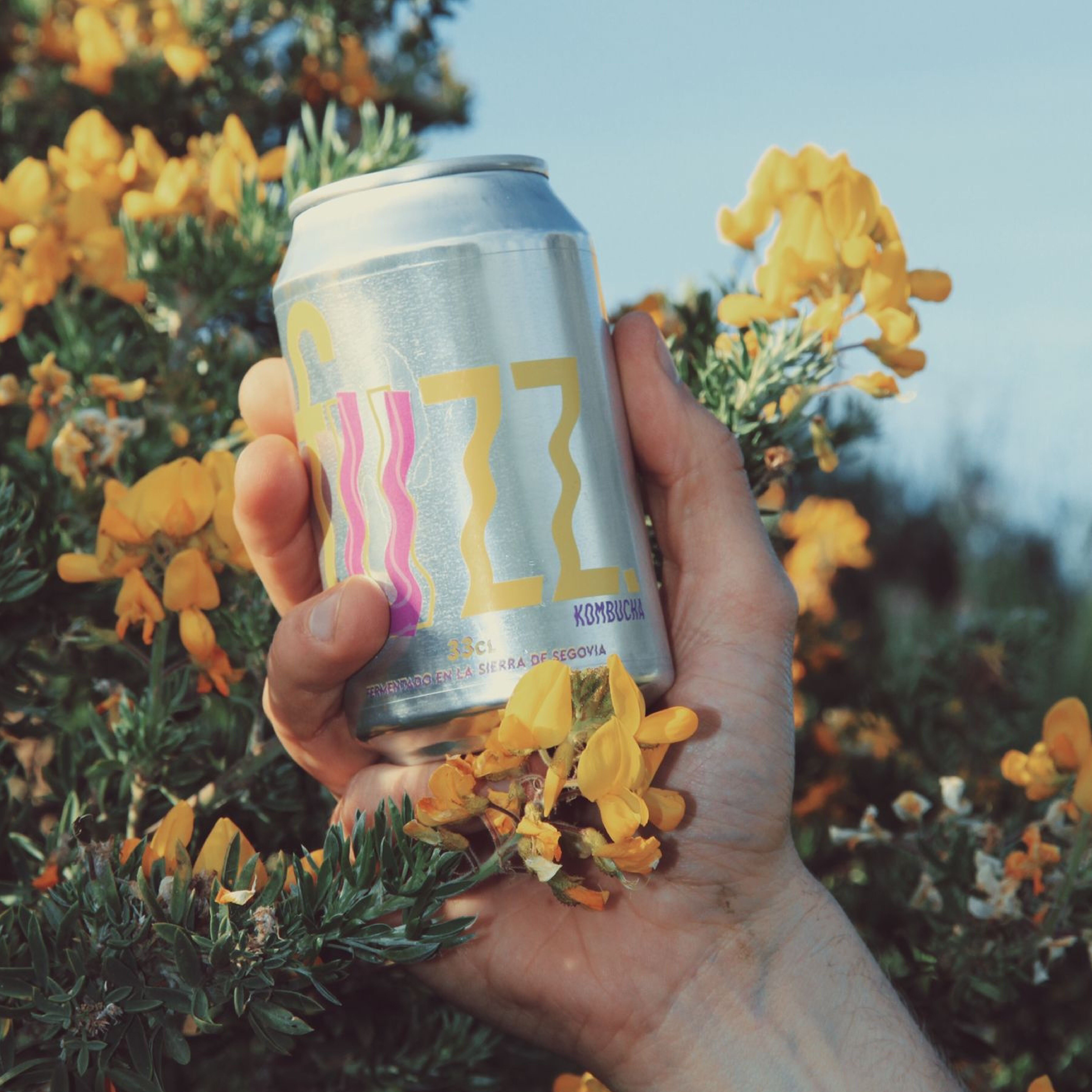 KOMBUCHA SOFT DRINK - Super Fuzz : Mandarine, Gingembre et Menthe Poivrée