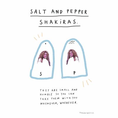 Salt And Pepper Shakiras | A4 art print