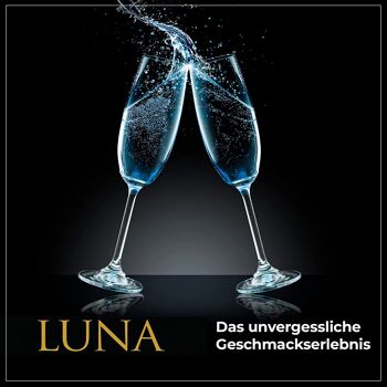 Cocktail au vin espagnol BACCYS - LUNA - 0.75L - lot de 6 7