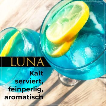 Cocktail au vin espagnol BACCYS - LUNA - 0.75L - lot de 6 8