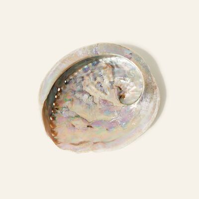 Sustainable Abalone Shell