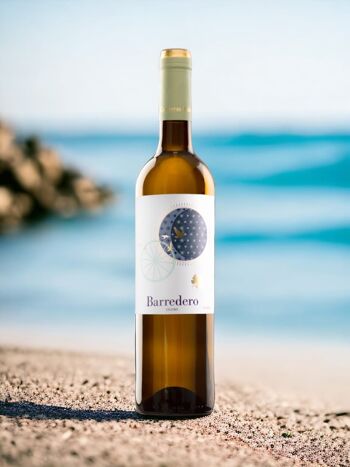 Vin blanc DOP Condado de Huelva - Barredero 1