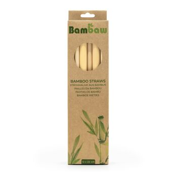 Bamboo straws – Cardboard box 12 units (22cm) 1