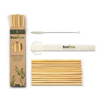 Bamboo straws – Cardboard box 12 units (22cm) 2