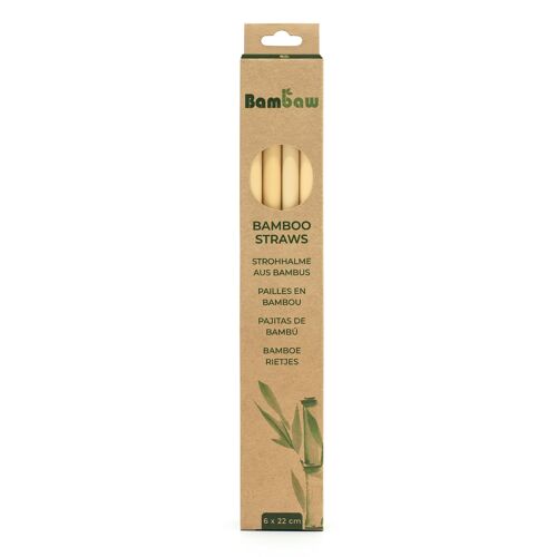 Bamboo straws – Cardboard box 6 units (22cm)
