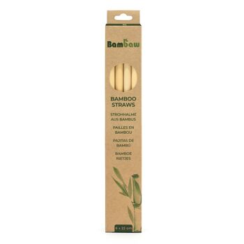 Bamboo straws – Cardboard box 6 units (22cm) 1