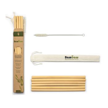Bamboo straws – Cardboard box 6 units (22cm) 2
