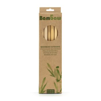 Bamboo straws – Cardboard box 6 units (22cm) + 6 units (15cm) 1