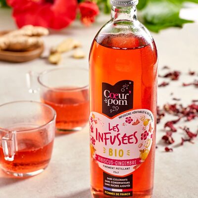 ORGANIC Infused HIBISCUS GINGER - 75cl