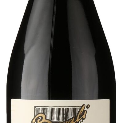 Amarone della Valpolicella DOC Classico 2019, BEGALI, delizioso e robusto vino rosso da invecchiamento