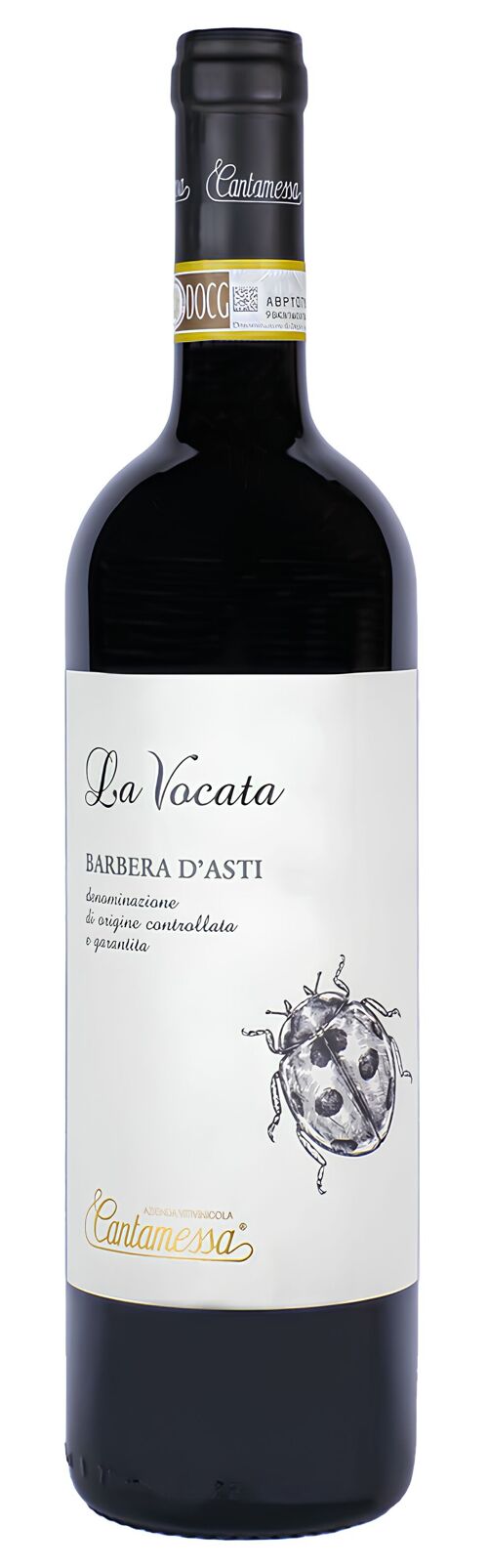 La Vocata 2021, CANTAMESSA, vin rouge fruité et soyeux