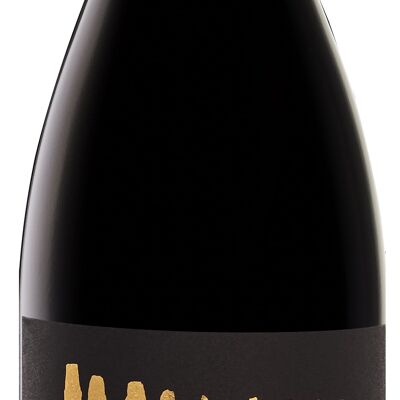 Monolith, Montepulciano d'Abruzzo DOC Riserva 2019, PIANDIMARE, delicious and full-bodied red wine