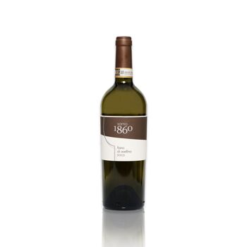 Sarno 1860, Fiano di Avellino DOCG 2019, TENUTA SARNO, vin blanc minéral et intriguant