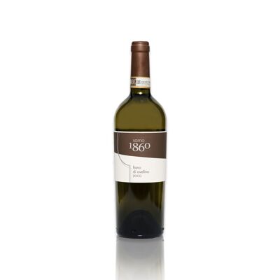 Sarno 1860, Fiano di Avellino DOCG 2019, TENUTA SARNO, vino blanco mineral e intrigante