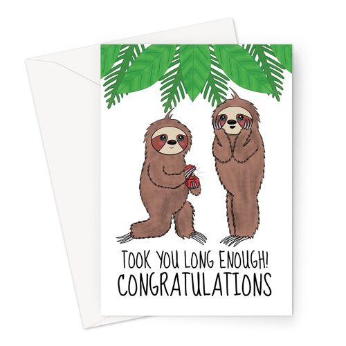 Funny Engagement Congratulations Card | Sloths