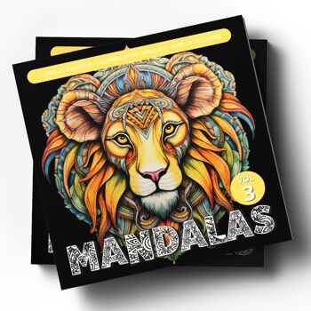 Livre de coloriage - Mandalas 3 - Avec des scènes relaxantes pour les coloristes avancés 1