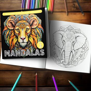Livre de coloriage - Mandalas 3 - Avec des scènes relaxantes pour les coloristes avancés 2