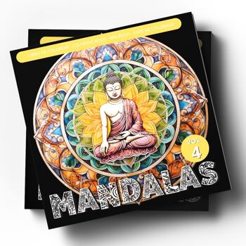 Livre de coloriage - Mandalas 4 - Avec des scènes relaxantes pour coloristes avancés 1