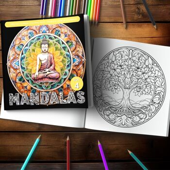 Livre de coloriage - Mandalas 4 - Avec des scènes relaxantes pour coloristes avancés 2