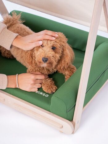 Lit pour chien | Collection Oasis (Base en bois + cabane) 1