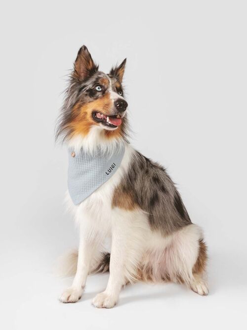 Dog Bandana | Waffle