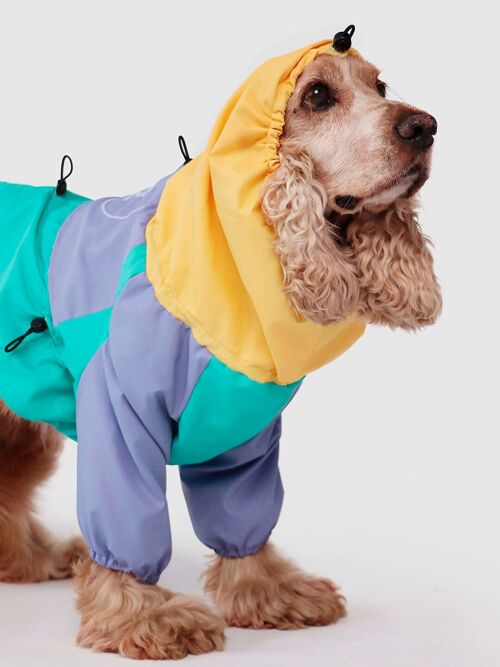 Dog Raincoat | Tropical Color