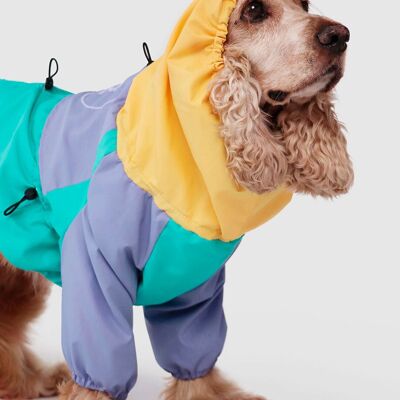 Dog Raincoat | Tropical Color