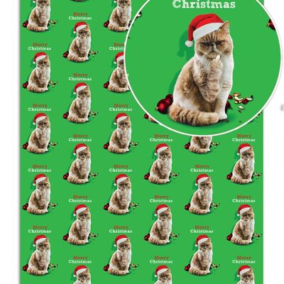 Christmas Gift Wrap - Merry Christmas Cat Finger **Pack of 2 Sheets Folded** by Brainbox Candy