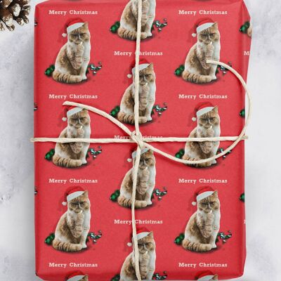 Christmas Gift Wrap - Merry Christmas Cat Finger **Pack of 2 Sheets Folded** by Brainbox Candy