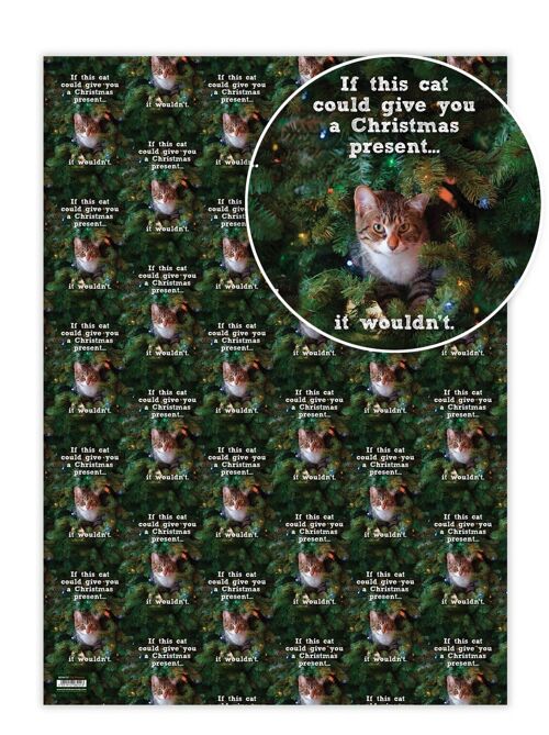 Christmas Gift Wrap - If This Cat **Pack of 2 Sheets Folded** by Brainbox Candy