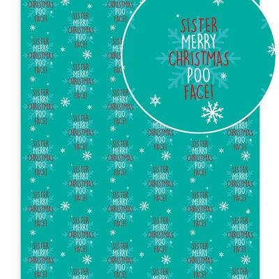 Christmas Gift Wrap - Sister Poo Face **Pack of 2 Sheets Folded** by Brainbox Candy